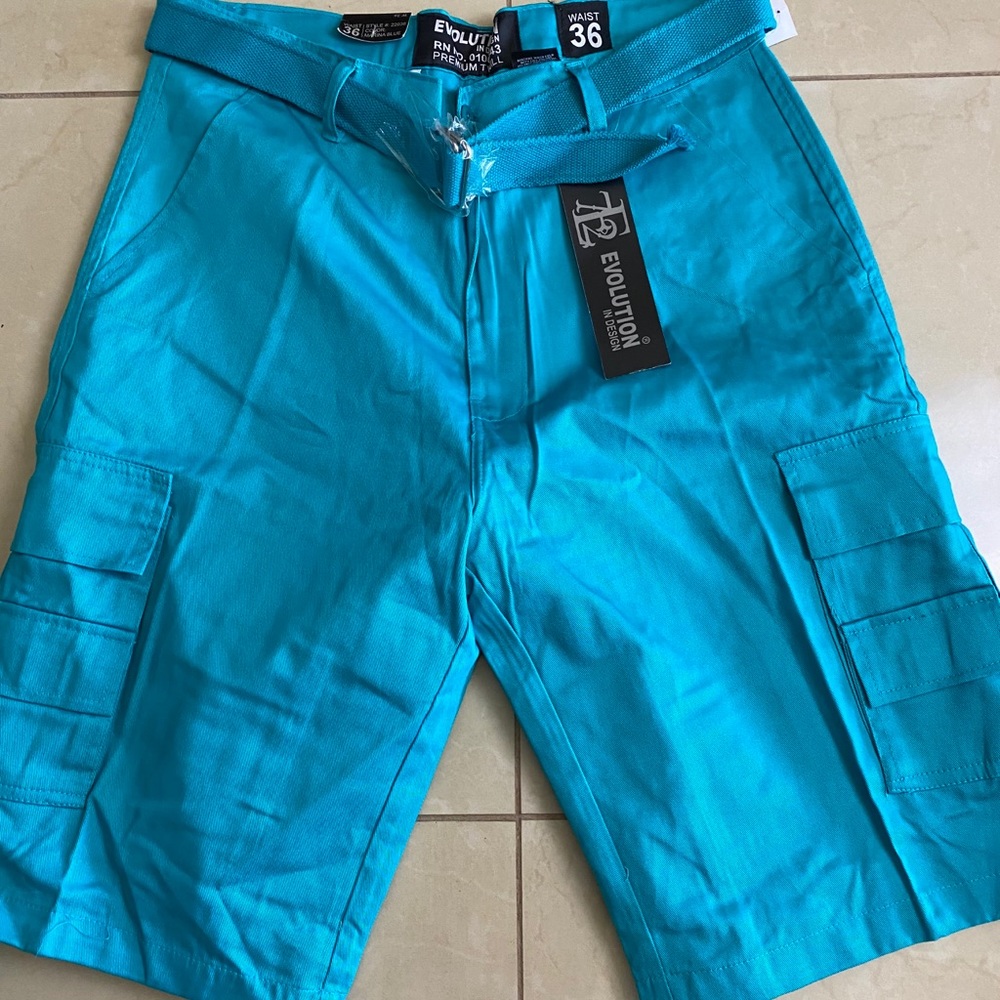 Evolution shorts teal